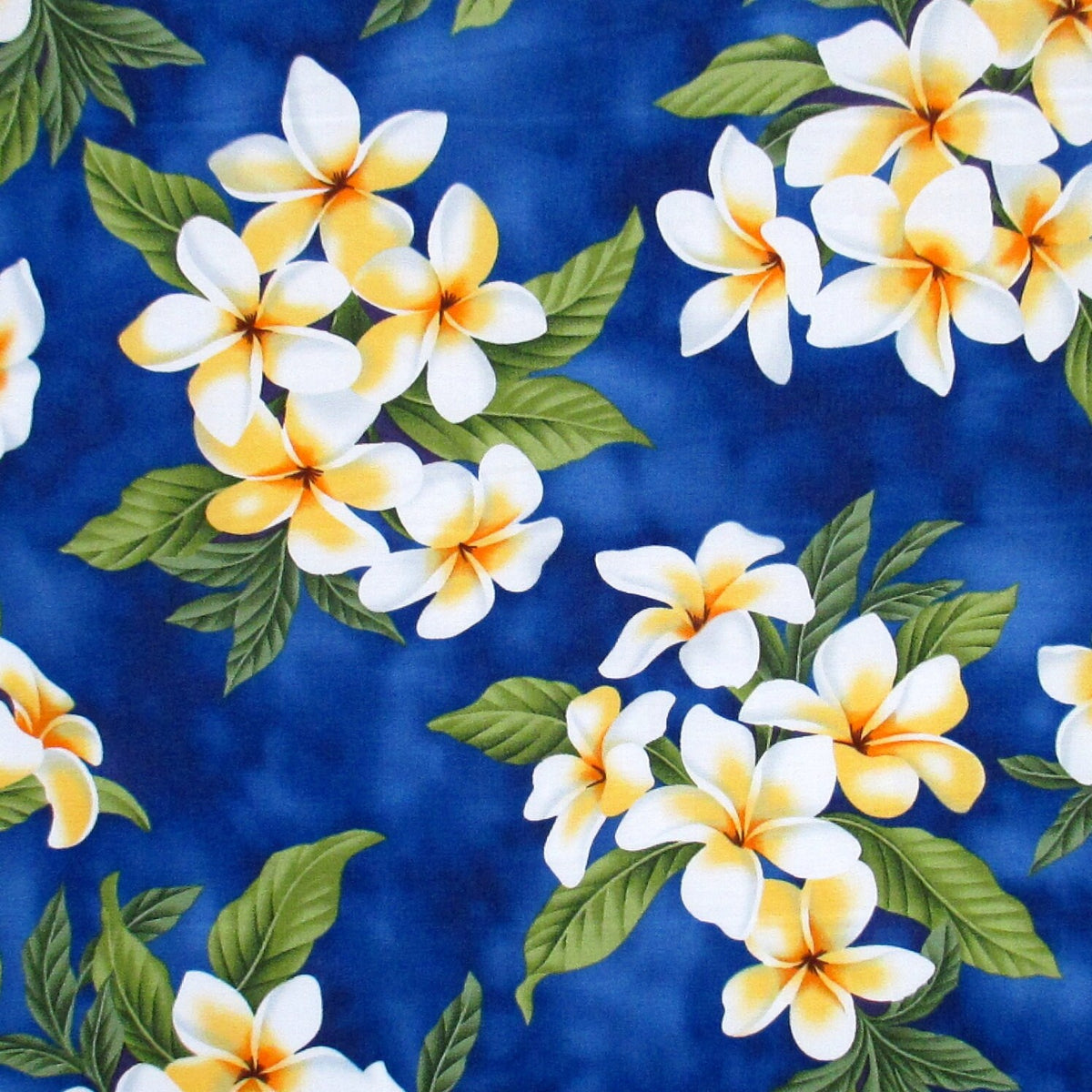 Fabric, White Plumeria Bouquet on Royal Blue, Tropical Hawaiian, By the Half or Full Yard