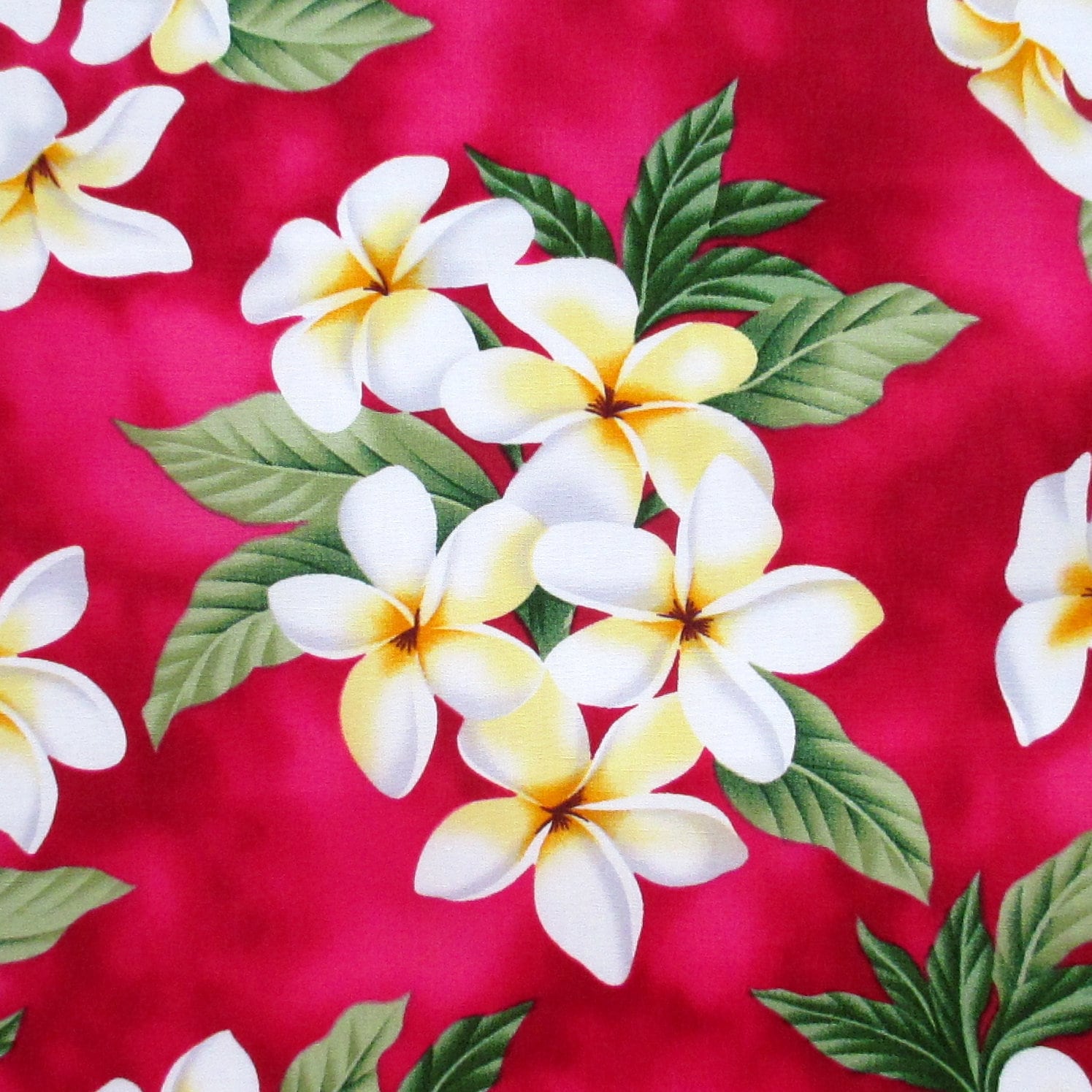 Fabric, White Plumeria Bouquet on Deep Pink, Tropical Hawaiian, By the Half or Full Yard