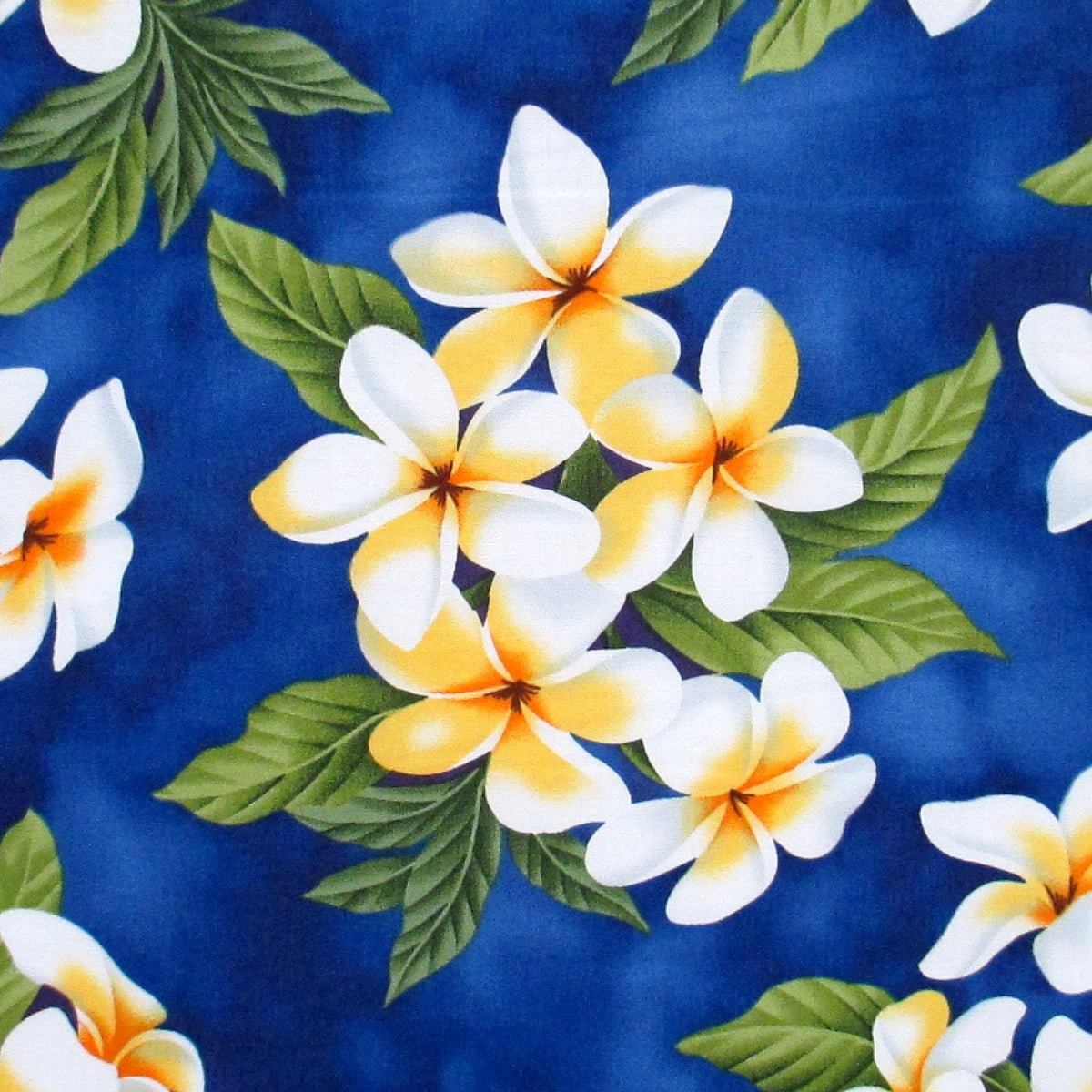 Fabric, White Plumeria Bouquet on Royal Blue, Tropical Hawaiian, By the Half or Full Yard