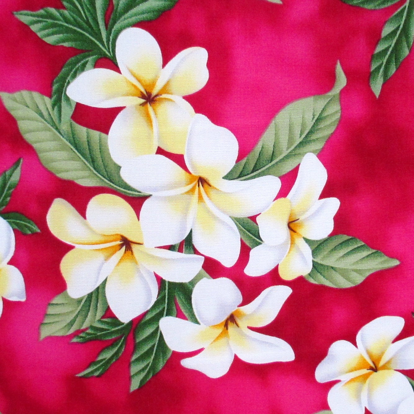 Fabric, White Plumeria Bouquet on Deep Pink, Tropical Hawaiian, By the Half or Full Yard