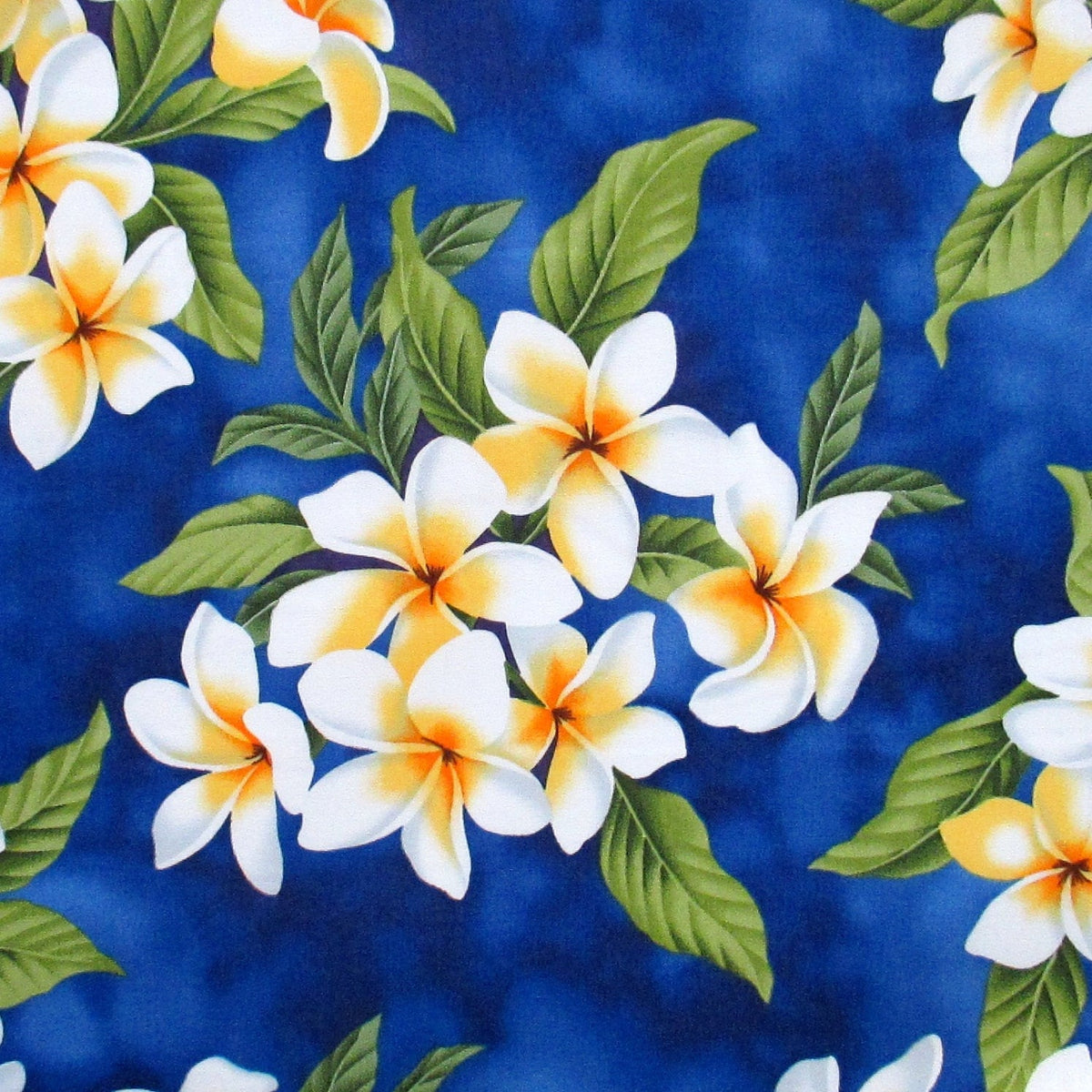 Fabric, White Plumeria Bouquet on Royal Blue, Tropical Hawaiian, By the Half or Full Yard