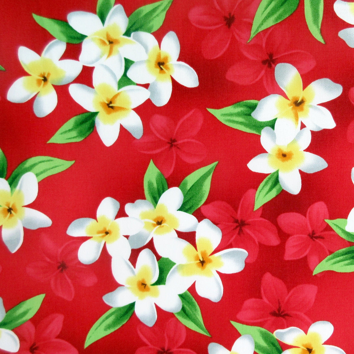 Fabric, Pacific Rim Plumeria on Christmas Red, Tropical Hawaiian, By the Half and Full Yard
