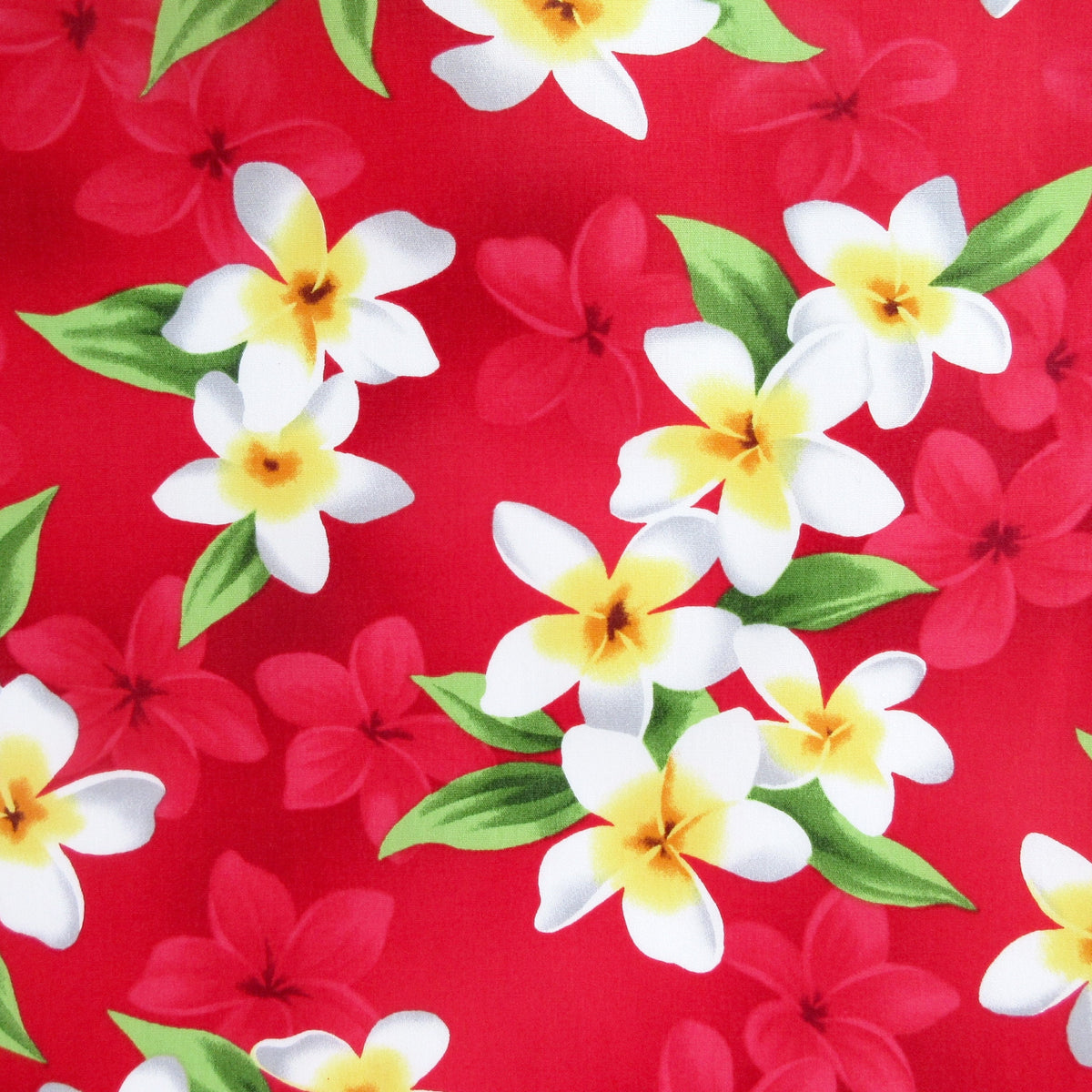 Fabric, Pacific Rim Plumeria on Christmas Red, Tropical Hawaiian, By the Half and Full Yard