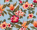 Fabric, Hibiscus Sunset Glow on Aqua, Cotton Poplin Tropical Hawaii, By the Half or Full Yard