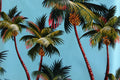 BARKCLOTH Fabric, Palm Trees on Blue, Large Scale Hawaii Tropical, By the Yard