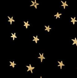 Star Fabric, Starry on Black Gold by Ruby Star Society, By the Half or Full Yard