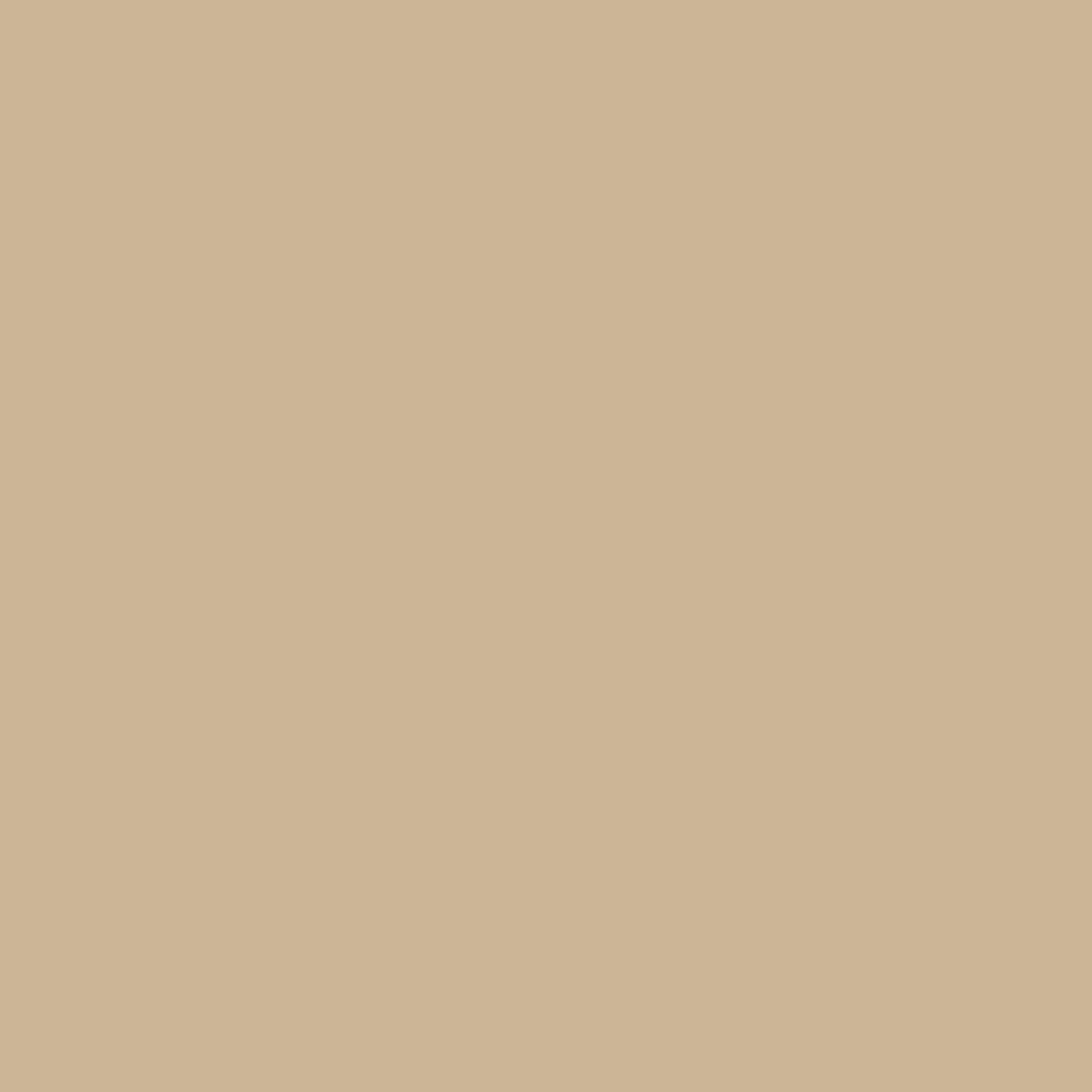 Fabric, Tan Solid, Palomino Confetti Cotton by Riley Blake, By the Half or Full Yard
