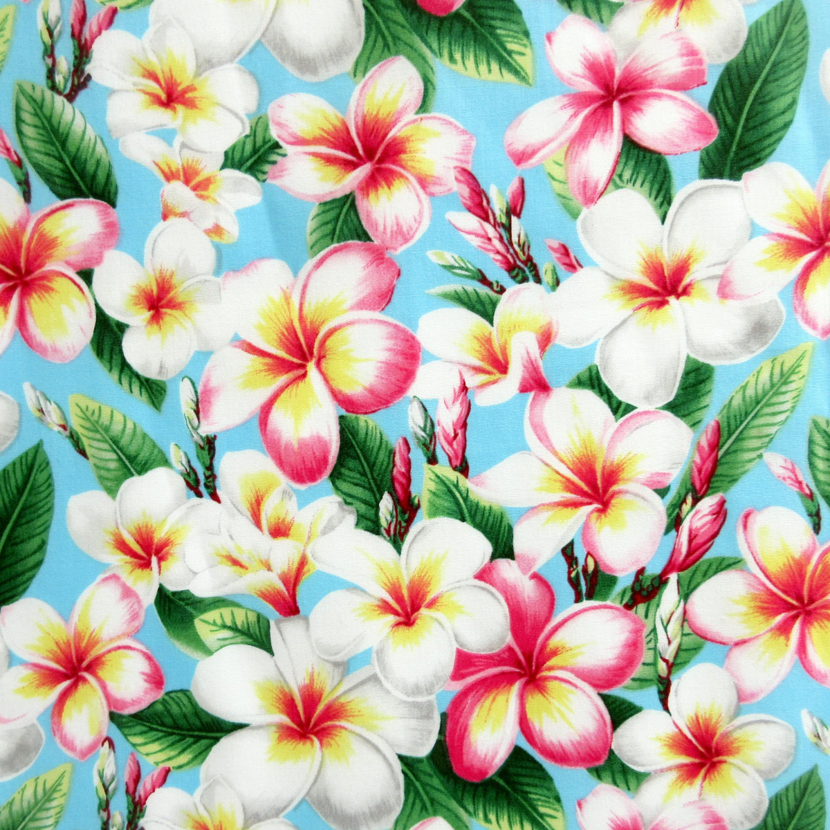 Floral Fabric, Pukalani Plumeria on Sky Blue, Tropical Hawaiian, By the Half or Full Yard