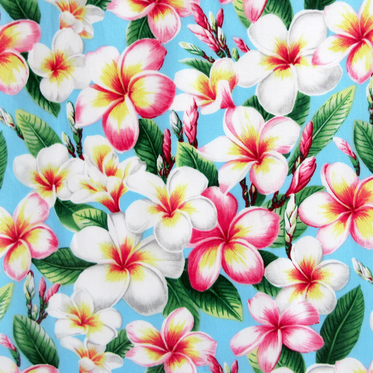 Floral Fabric, Pukalani Plumeria on Sky Blue, Tropical Hawaiian, By the Half or Full Yard