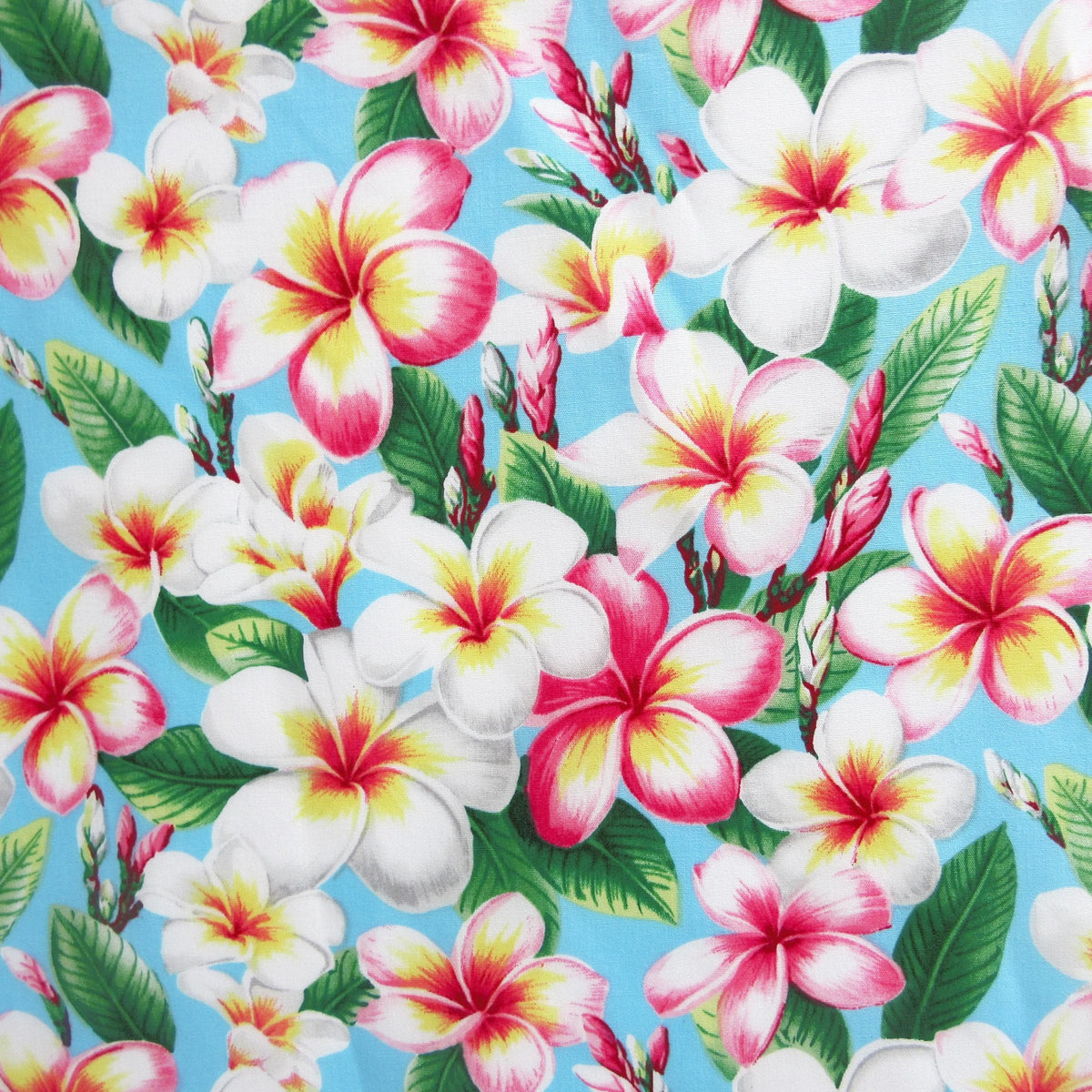 Floral Fabric, Pukalani Plumeria on Sky Blue, Tropical Hawaiian, By the Half or Full Yard